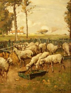 Il recinto delle pecore da William McBride