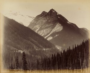 Ross Peak e il Loop dalla capanna della neve n. 19 da William McFarlane Notman