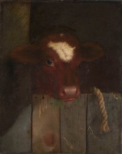 La mucca di famiglia