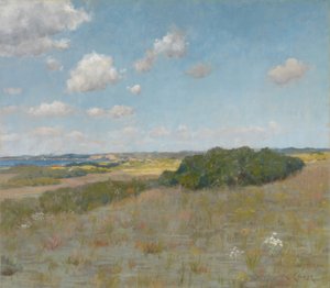 Luce del sole e ombra, Shinnecock Hills da William Merritt Chase