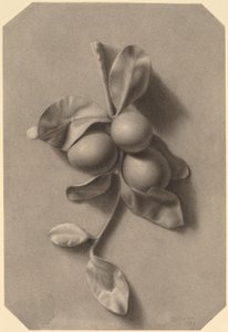 Un ramoscello di prugne da William Michael Harnett