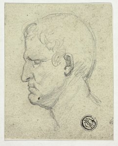 Testa dell