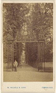 Viale Trinity Cole da William Nichols and Sons