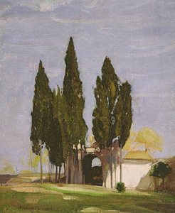 Cipressi, Colle Palatino, Roma