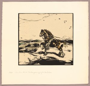 Il cavallo Shire da William Nicholson
