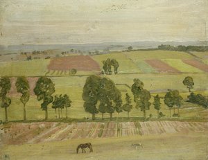 Pianura di Glastonbury da William Nicholson