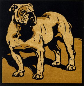 Il Bulldog Britannico, da 