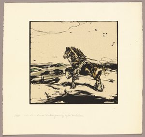 Il cavallo di Shire da William Nicholson