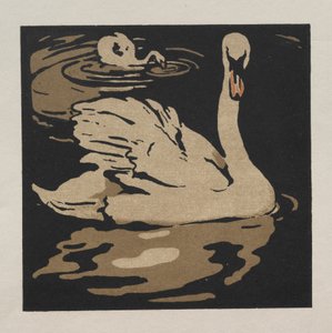 Il libro quadrato degli animali: Il bellissimo cigno