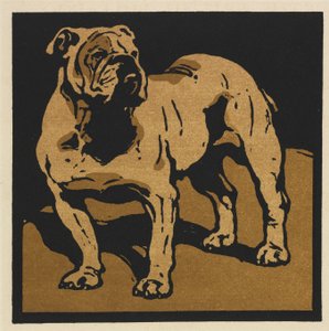 Il Libro Quadrato degli Animali: Il Bulldog Britannico da William Nicholson