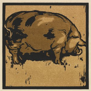 Il Libro Quadrato degli Animali: Il Maiale Sapiente