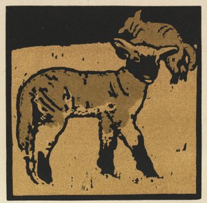 Il libro quadrato degli animali: L
