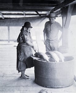 Pulitore di salmoni indiano, vicino a New Westminster, Columbia Britannica (Provincia del Canada) da William Notman