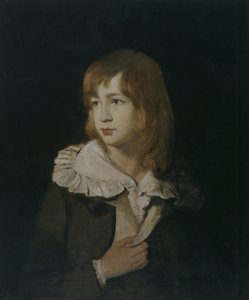 Ritratto di un ragazzo, John Parry di Garden, c.1788-89 da William Parry