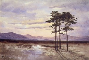 Tramonto, contea di Sligo da William Percy French