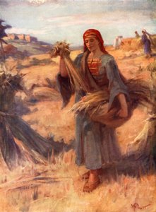 Ruth nei Campi di Grano, Ruth ii, 2