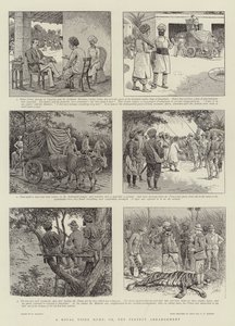 Una caccia reale alla tigre, o, la disposizione perfetta da William Ralston