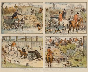La storia completa e veritiera di una volpe e un pennello