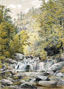 Catskill Clove, 1856 da William Rickarby Miller