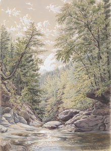 Catskill Clove a Palingsville da William Rickarby Miller