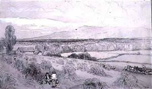 Scena di Raccolto