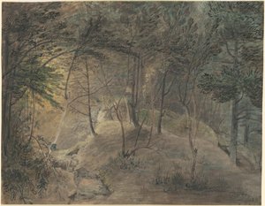 Vista dalla Sorgente a Echo da William Russell Birch