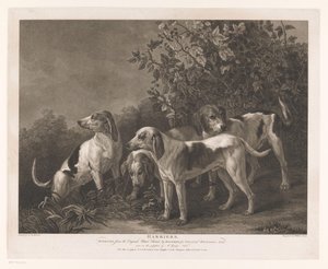 Quattro cani da caccia da William Satchwell Leney