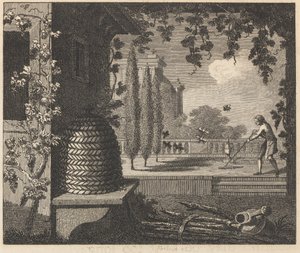Le api degeneri da William Skelton