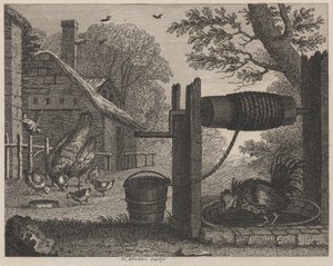 La vecchia gallina e il gallo da William Skelton
