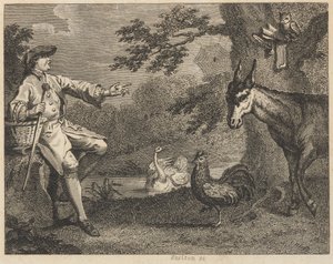 Il gufo, il cigno, il gallo, il ragno, l