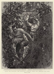 Dopo il disastro, i sopravvissuti combattono attraverso la boscaglia da William Small