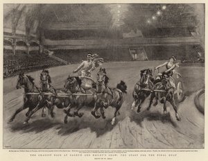 La Corsa delle Bighe allo Spettacolo di Barnum e Bailey, la partenza per la Finale