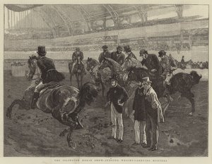 Mostra di cavalli di Islington, giudizio dei cacciatori di peso
