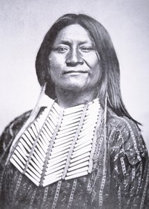 Membro della tribù Comanche da William Soule