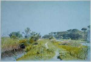 Castel Fusano - vicino a Roma da William Stanley Haseltine