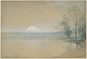  da William Stanley Haseltine