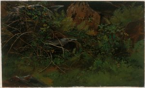 Studio dal vero da William Stanley Haseltine