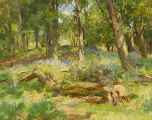 Scena boschiva da William Stewart MacGeorge