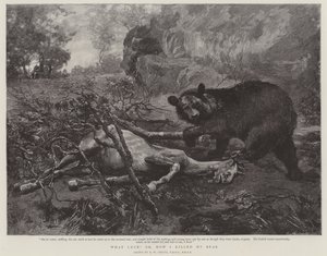 Che fortuna! o, come ho ucciso il mio orso da William Strutt