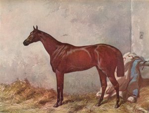 Hermit: vincitore del Derby Stakes a Epsom, 1867, 1903 da William Summers