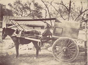 Pekin-car, 1867