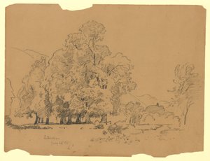 Paesaggio, Interlaken, Svizzera da William Trost Richards