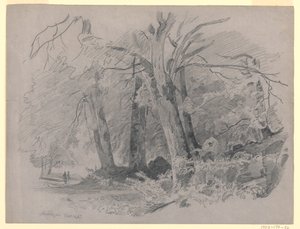 Paesaggio, Meiringen, Svizzera da William Trost Richards