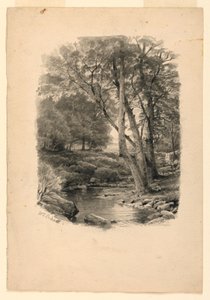 Piscina nel bosco