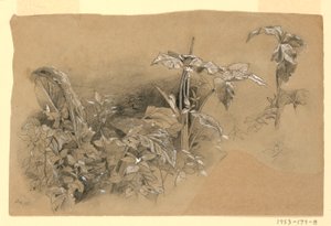 Studio di fogliame da William Trost Richards
