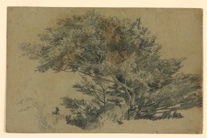 Studio di fogliame da William Trost Richards