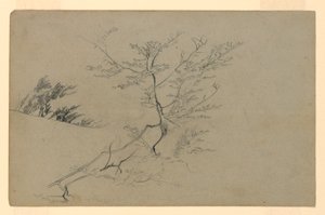 Studio del fogliame da William Trost Richards