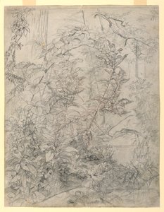 Studio di Foliage da William Trost Richards