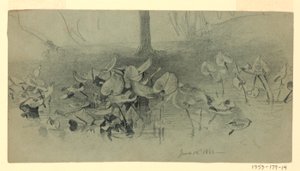 Studio del fogliame da William Trost Richards