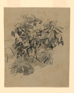 Studio di fogliame da William Trost Richards
